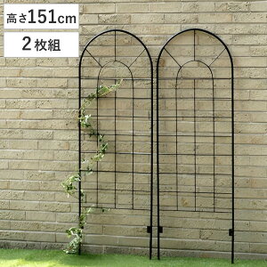 フェンス アイアンフェンス ロータイプ 高さ151cm 2枚組 ( ガーデンフェンス インテリア ガーデニング雑貨 アンティーク おしゃれ ガーデニング アイアン 鉄 ディスプレイ オブジェ 置物 庭