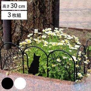 ACAtFX ~j L 3g i K[ftFX ACA  | GNXeA G ˂ lR Ԓd  x_ oRj[ K[fjO ACAK[ftFX gX j