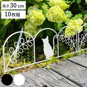 ACAtFX ~j L 10g i K[ftFX ACA  | GNXeA G ˂ lR Ԓd  x_ oRj[ K[fjO ACAK[ftFX gX j