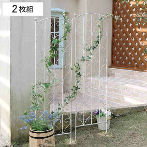 tFX ueB[N zCgACAgX 147cm 2g i O[tFX O[ J[e K[ftFX v^[ K[fjO X`[ ΂̃J[e  K[f