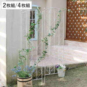 tFX ueB[N zCgACAgX 147cm 2g 4g i O[tFX O[ J[e K[ftFX v^[ K[fjO X`[ ΂̃J[e  C