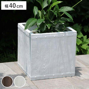 v^[ t@[o[ ؒFRPv^[ 40cm p^ i v^[Jo[ Eh Aؔ  ꌊ O O ƒ؉ 񂹐A  |bg Jo[ A  ` ^v^[