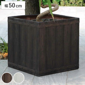 v^[ t@[o[ ؒFRPv^[ 50cm p^ i v^[Jo[ Eh Aؔ  ꌊ O O ƒ؉ 񂹐A  |bg Jo[ A  ` ^v^[