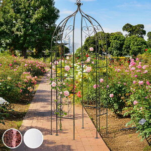 A[` ACAn[tA[`IxXNLbg i K[ftFX n[tA[` tFX ACA  | GNXeA G Ԓd  x_ oRj[ K[fjO ACAK[f