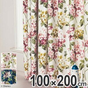J[e ՌJ[e X~mG AX AWTC 100×200cm AC{[ i Ռ fBYj[ h[vJ[e Disney ӂ̍̃AX LN^[  Ռ2 􂦂 `L ԕ t