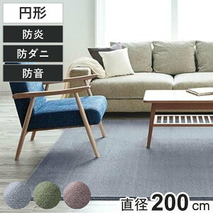 O X~mG J[ ~` 200×200cm g[Ή h_j i O}bg O~ イ J[ybg ~ a200cm }bg gΉ g h_jH hH tH[X^[ zbgJ[ybg