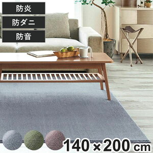 O X~mG J[ 140×200cm g[Ή h_j i O~ }bg O}bg ` gΉ h_jH hH tH[X^[ fBJTCX h { g zbgJ[ybg 