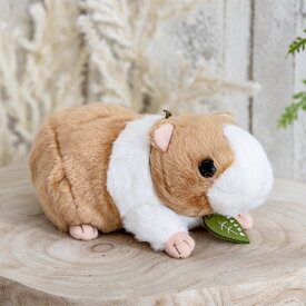 ぬいぐるみ potte モルモット （ ヌイグルミ 動物 小動物 雑貨 インテリア アニマル グッズ ベビー 赤ちゃん プレゼント ギフト かわいい 縫いぐるみ 人形 手乗り 小さい 癒しグッズ 子ども キッズ 出産祝い 女の子 男の子 ）