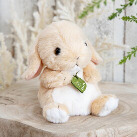 ぬいぐるみ potte ロップイヤー （ ヌイグルミ 動物 小動物 雑貨 インテリア アニマル グッズ ベビー 赤ちゃん プレゼント ギフト かわいい 縫いぐるみ 人形 手乗り 小さい 癒しグッズ 子ども キッズ 出産祝い 女の子 男の子 ）