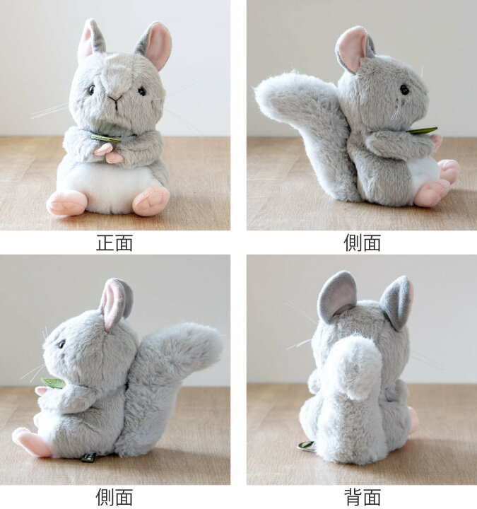 楽天市場】ぬいぐるみ potte チンチラ （ ヌイグルミ 動物 小動物 雑貨 