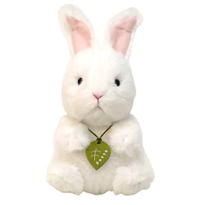 ʂ potte ASETM i kCO~   ETM ̂ЂTCY ӂӂ G CeA Aj} v[g 킢 l`    ߋ ObY 