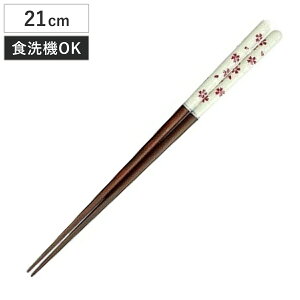  ԕ 21cm i H@Ή { VR  Jg[  Vv _ a_ j