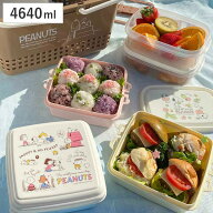 ピクニックセット スヌーピー バスケット ピクニックケース 保存容器 （ ピクニックランチボックス お重 …