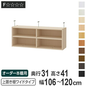 uI 41cm Ch^Cvp 106-120cm s31cm Ή i V䍂226-235cm I[_[{I [I Type41 ubNVFt rO[ [ q I[_[Ch Y t[bN