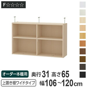 uI 65cm Ch^Cvp 106-120cm s31cm Ή i V䍂250-259cm I[_[{I [I Type65 ubNVFt rO[ [ q I[_[Ch Y t[bN