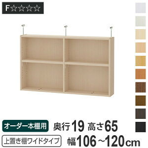 uI 65cm Ch^Cvp 106-120cm s19cm Ή i V䍂250-259cm I[_[{I [I Type65 ubNVFt rO[ [ q I[_[Ch Y t[bN