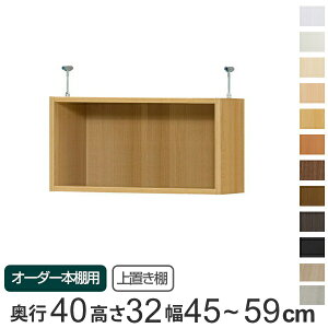 専用 上置き棚 標準棚板 type32 オーダー本棚 奥行40cm 幅45-59cm用 ( 送料無料 オーダーメイド 天井つっぱり 本棚 収納ラック セミオーダー )