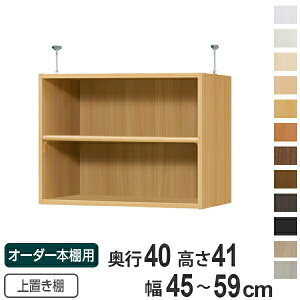 ��p ��u���I �W���I�� type41 �I�[�_�[�{�I ���s40cm ��45-59cm�p �i �������� �I�[�_�[���C�h �V����ς� �{�I ���[���b�N �Z�~�I�[�_�[ �j