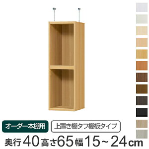 専用 上置き棚 タフ棚板 type65 オーダー本棚 奥行40cm 幅15-24cm用 ( 送料無料 オーダーメイド 天井つっぱり 本棚 多目的ラック セミオーダー 突っ張り棚 )