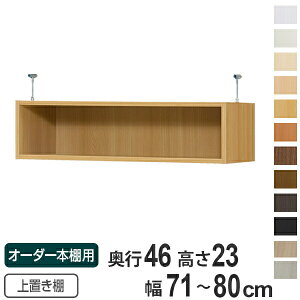 専用 上置き棚 標準棚板 type23 オーダー本棚 奥行46cm 幅71-80cm用 ( 送料無料 オーダーメイド 天井つっぱり 本棚 多目的ラック セミオーダー )
