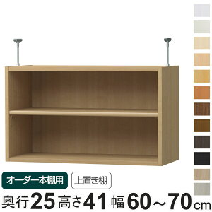専用 上置き棚 標準棚板 type41 オーダー本棚 奥行25cm 幅60-70cm用 ( 専用パーツ 追加オプション 上置き 収納家具 オプション 追加 オーダー ラック パーツ )
