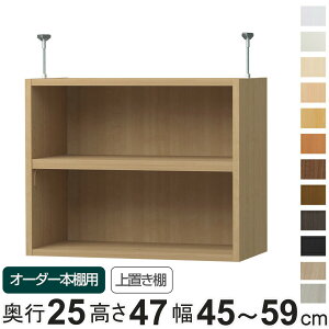 p uI WI type47 I[_[{I s25cm 45-59cmp i pp[c ǉIvV u [Ƌ IvV ǉ I[_[ bN p[c j