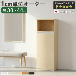 �V���[�Y�{�b�N�X �T�C�Y�I�[�_�[ ��30-44cm 120type ���t�� NEO ���{�� F�������� �i �V���[�Y���b�N ���ʔ� �C ���[ ���֎��[ �C�� �ؐ� �I�[�_�[�Ƌ� ���s34.5cm ����120.8cm ���b�N �V���v�� �C���[