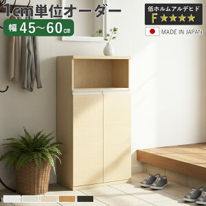 �V���[�Y�{�b�N�X �T�C�Y�I�[�_�[ ��45-60cm 120type ���t�� NEO ���{�� F�������� �i �V���[�Y���b�N ���ʔ� �C ���[ ���֎��[ �C�� �ؐ� �I�[�_�[�Ƌ� ���s34.5cm ����120.8cm ���b�N �V���v�� �C���[
