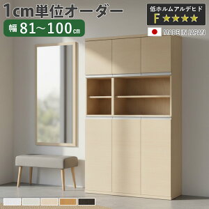 �V���[�Y�{�b�N�X �T�C�Y�I�[�_�[ ��81-100cm 180type ���󂫔��t�� NEO ���{�� F�������� �i �V���[�Y���b�N ���ʔ� ���[ ���֎��[ �I�[�_�[�Ƌ� ���s34.5cm ����175cm �ؐ� �V���v�� �C �C�� �g�ݍ�