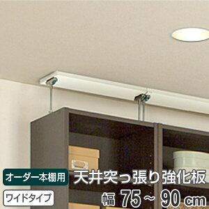 I[_[{I Ch^Cvp V˂p 75-90cm i [I I {I I[_[   ubNVFt rO[ [ q I[_[Ch Y t[bN j
