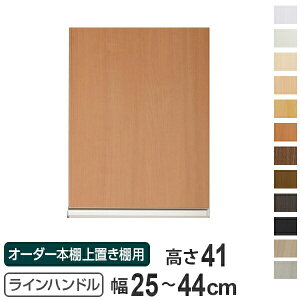専用扉 オーダー本棚 上置き棚用 ラインハンドル扉 Type41 幅25〜44cm 片開き ( 送料無料 オーダーメイド セミオーダー 扉 オプション )