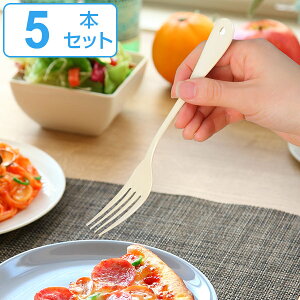 tH[N 19cm m Noix fU[gtH[N XeX z[[ { F5{Zbg i e[utH[N mH Jg[   킢 AC{[ j