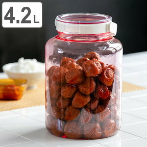 Еe 4.2L MőΉ ~r 2kgp ی^ vX`bN i ~т ̗e Ђe  ۑe ~ Е  vX`bN ۑr ۑr ۑт y 