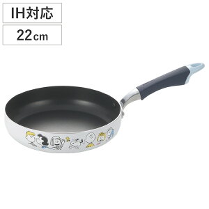 tCp 22cm IHΉ Xk[s[ BREAK TIME i KXΑΉ uߓ ߓ ӂfH tbfH y 22Z` tbfR[eBO A~ y j