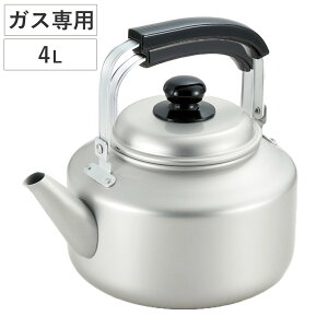 Pg 4L KXΐpC[WCPg i KXΑΉ  ₩ J  A~ y e 4bg Pbg y 傫TCY ₷ ɂ  Lb`p