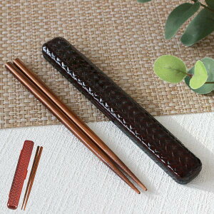 Zbg   HAKOYA  18cm i & Jg[  ͂ P[X ͂ nR a a VR a gїpJg[ ٓp Y fB[X { j  