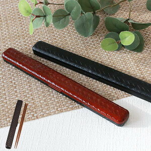 Zbg   HAKOYA  22.5cm i & Jg[  ͂ P[X ͂ nR a a VR a gїpJg[ ٓp Y fB[X { j  