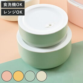 保存容器 さっと洗える保存容器 丸 2個セット （ プラスチック 密閉 日本製 食洗機対応 電子レンジ対応 255ml 420ml フードケース コンテナ 弁当箱 常備菜 つくり置き フルーツ おかず おしゃれ かわいい 丸型 ）