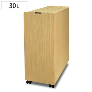 S~ 30L oXN { rOy[ i ݔ ؖڒ 30bg  Ȃ  X XCh p^ LX^[t 21cm rO Lb`  I j