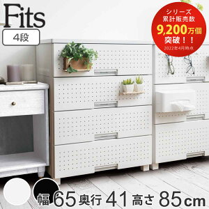 `FXg tBbcvX fR 4i 65×s41×85cm i [ o Vn e} ߑP[X ^X ߗގ[ { i    Oʃpl vX`bN [P[X rO`