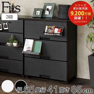 `FXg tBbcvX fR 3i 65×s41×85cm i [ o Vn e} ߑP[X ^X ߗގ[ { i    Oʃpl vX`bN [P[X rO`