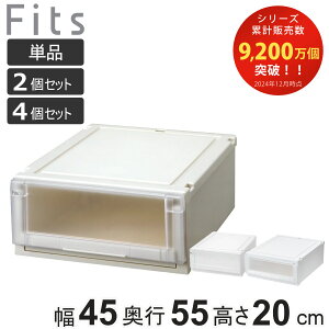 収納ケース Fits フィッツケース アドバンス 4520 クローゼット 幅45×奥行55×高さ20cm 単品 2個セット 4個セット ( フィッツ 収納 収納ボックス プラスチック 日本製 衣装ケース 天馬 押し入れ