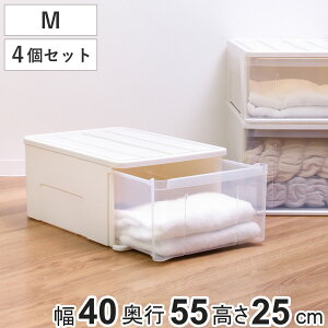 [P[X Ղ[ ߑP[X o vX`bN 55M 4Zbg 40×s55×25cm i [ P[X N[[bg  { o [ e  ߗ m z
