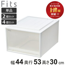 収納ケース Fits フィッツケース クローゼット ワイドL-53 単品 2個セット 4個セット （ 衣装ケース 収納 幅44 奥行53 高さ30 天馬 日本製 ケース 引き出し 収納ボックス プラスチック 積み重ね 押し入れ 押入れ ）