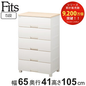 `FXg tBbcvX 5i 65×s41×105cm F6505 i ^X o [ ߗގ[ { i tBbc Fits vX`bN obN ߑP[X rO[ m^X [