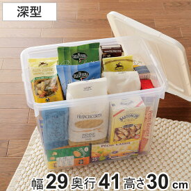 収納ケース フリーボックス プロフィックス PROFIX 40深型 幅29×奥行41×高さ30cm （ 収納ボックス 衣装ケース 衣類収納 ふた付き 収納 プラスチック フタ付き 小物入れ ストッカー 積み重ね ボックス クローゼット 押入れ収納 ）