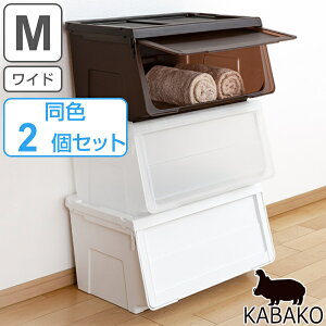 カバコ ワイドm 収納ケース カラーボックス 通販 価格比較 価格 Com カバコ ワイドm 収納ケース カラーボックス 通販 価格比較 価格 Com