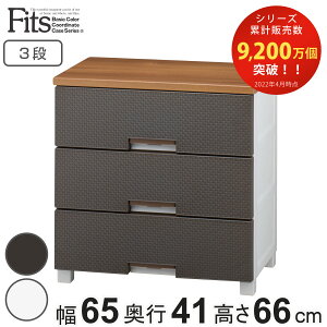 チェスト フィッツプラス メッシュ 3段 幅65×奥行41×高さ66cm FM6503 ( プラスチック 引き出し 日本製 完成品 タンス 収納 衣類収納 Fits フィッツ 衣装ケース 収納ケース 背面処理 リビング収納
