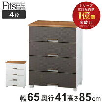 楽天市場】フィッツプラス 65 5段の通販
