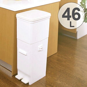 新輝合成 トンボ セパ ツインペダル 2段 46l ゴミ箱 ごみ箱 価格比較 価格 Com 新輝合成 トンボ セパ ツインペダル 2段 46l ゴミ箱 ごみ箱 価格比較 価格 Com